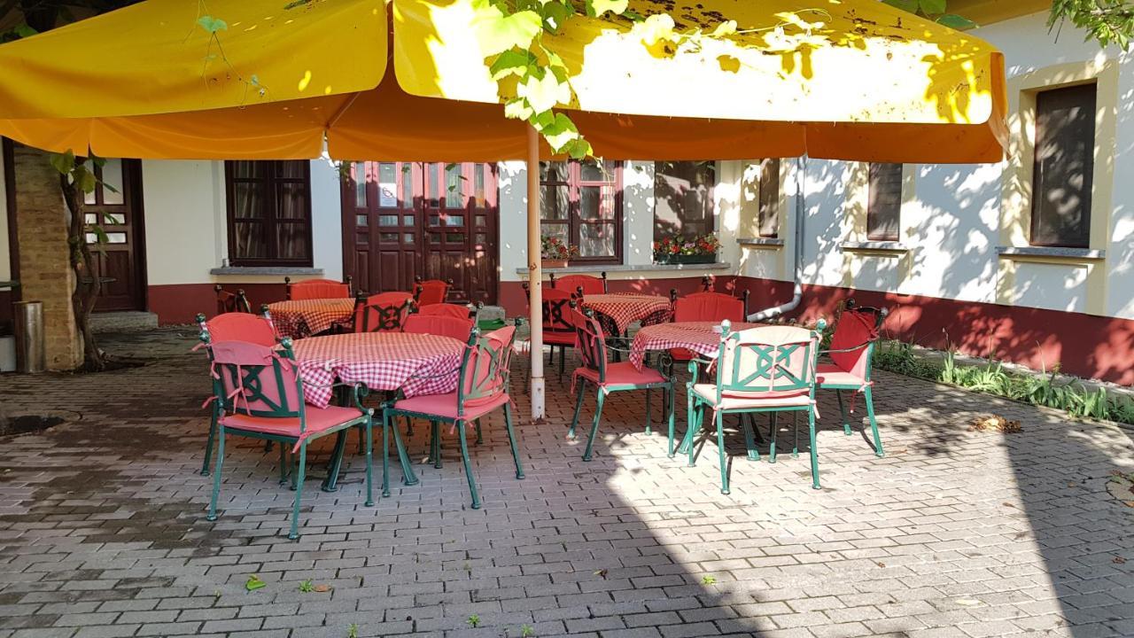 100 Eves Fogado Bed & Breakfast Szatymaz Dış mekan fotoğraf